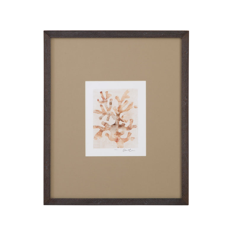 Parchment Coral I Framed Print - Brown