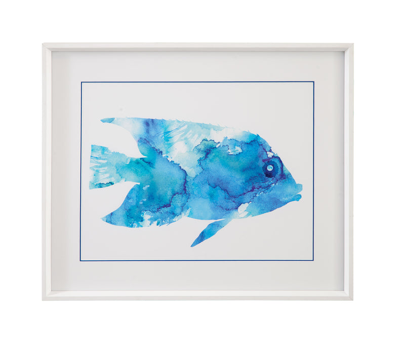 Watercolor Fish II Framed Print - Blue / White