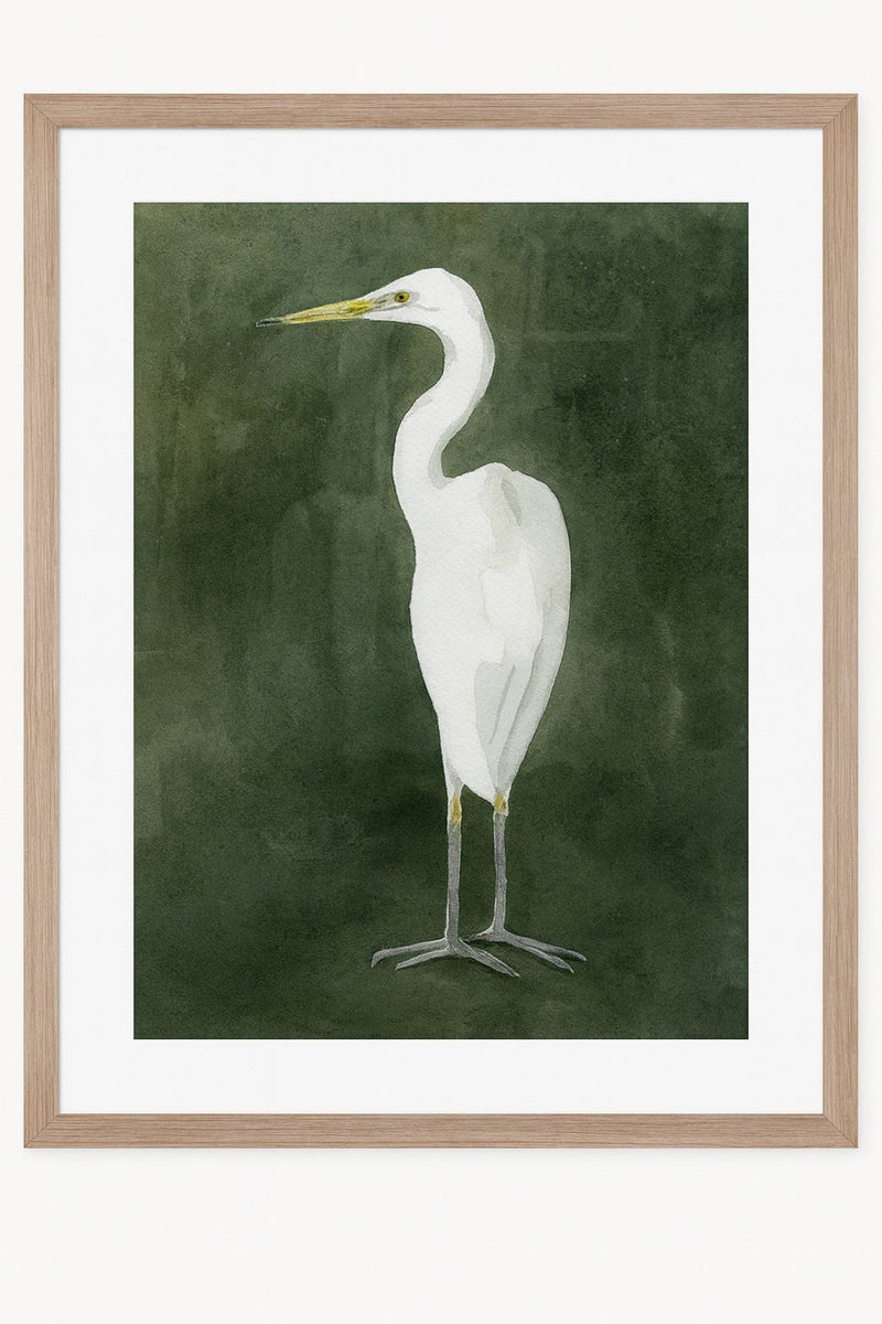 Emerald Heron IV Framed Print - Green / White