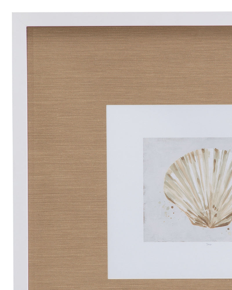 Neutral Shell Fresco IV Framed Print - Light Brown / White