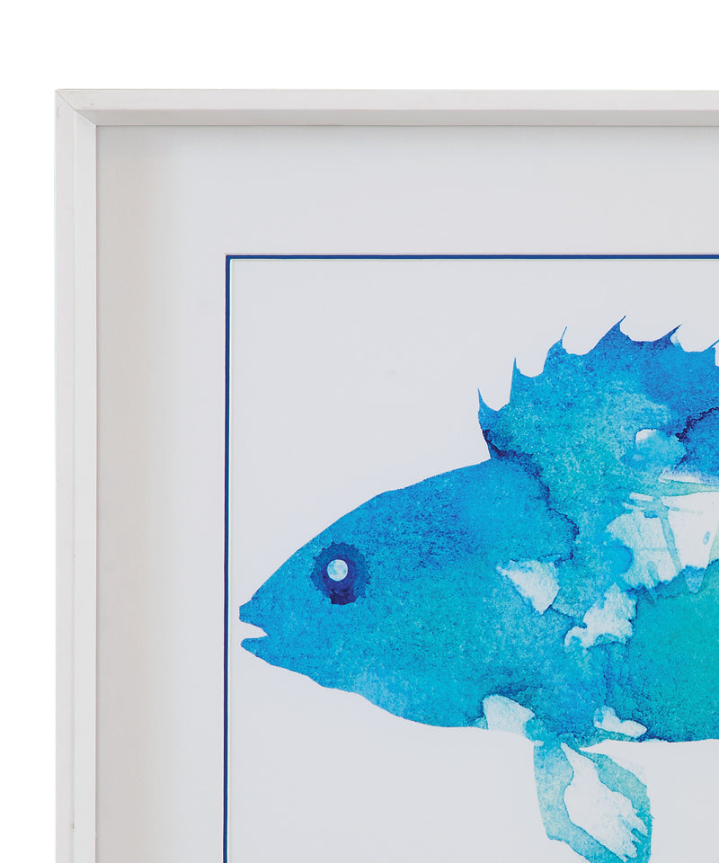 Watercolor Fish I Framed Print - Blue / White
