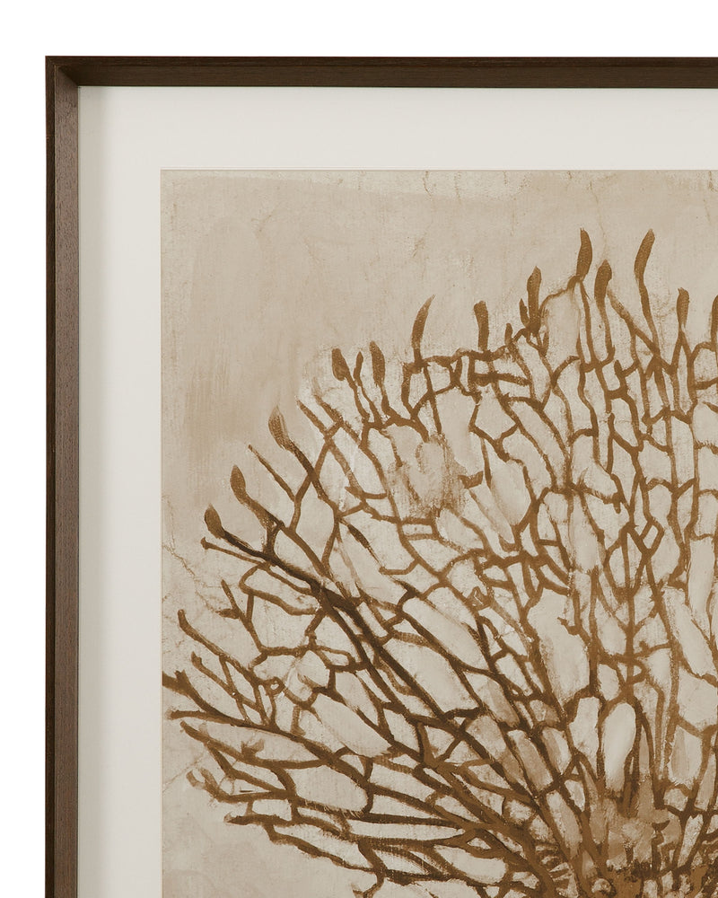 Neutral Seafan & Starfish Framed Print (Set of 2) - Light Brown