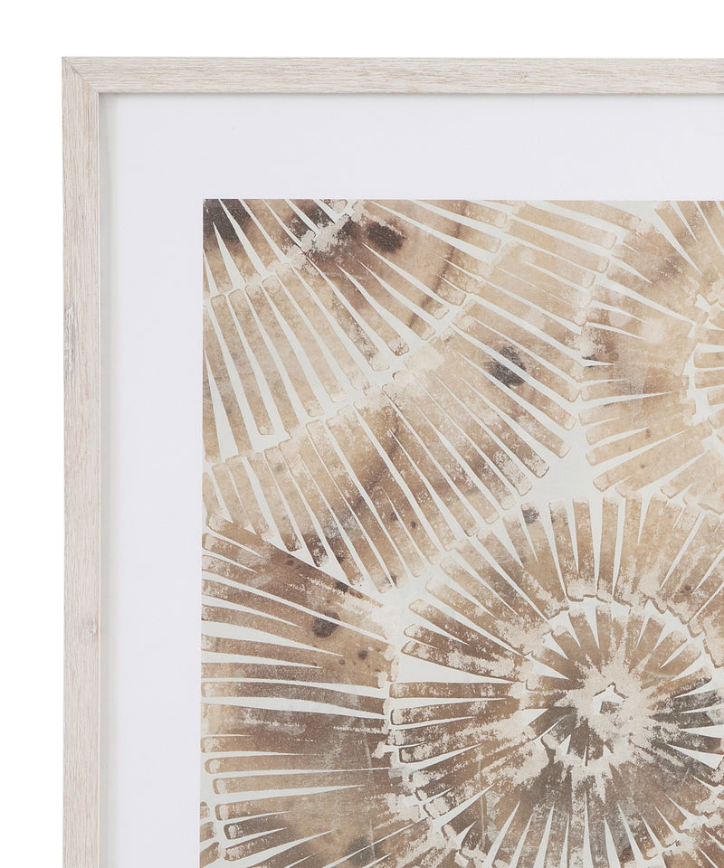 Fossil Nautilus II Framed Print - Brown