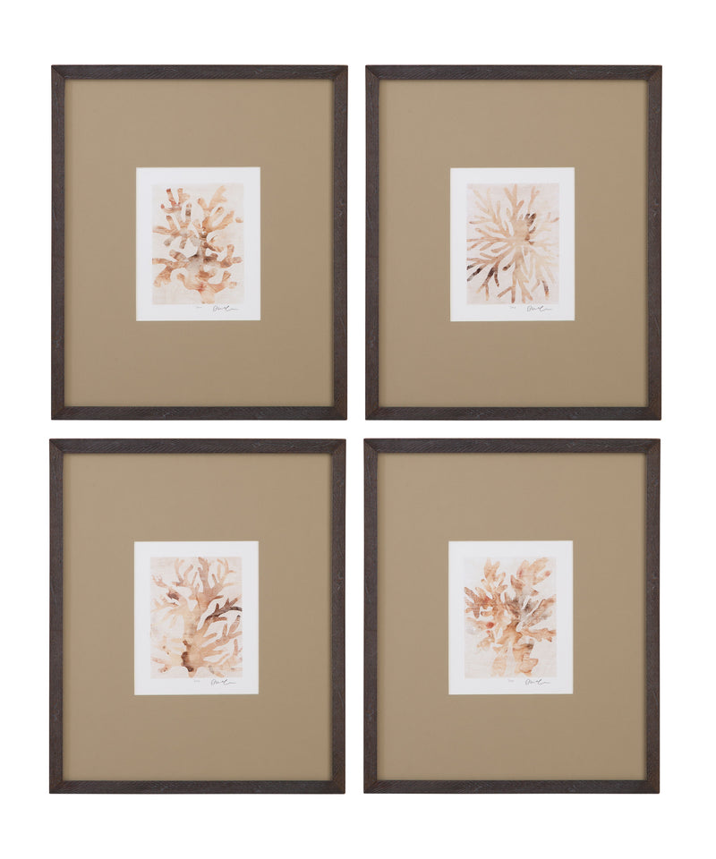 Parchment Coral III Framed Print - Brown