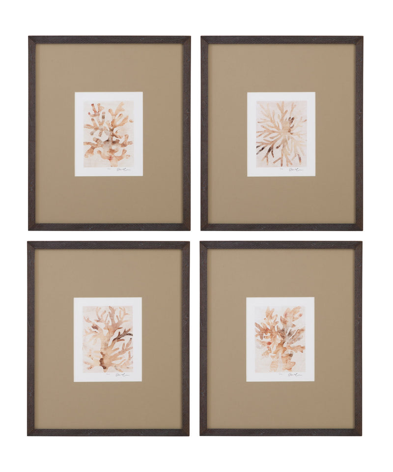 Parchment Coral Framed Print (Set of 4) - Brown