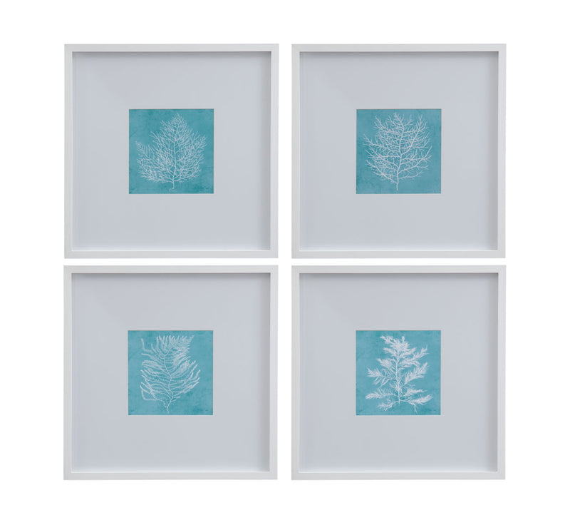 White Coral On Blue I Framed Print - Blue / White