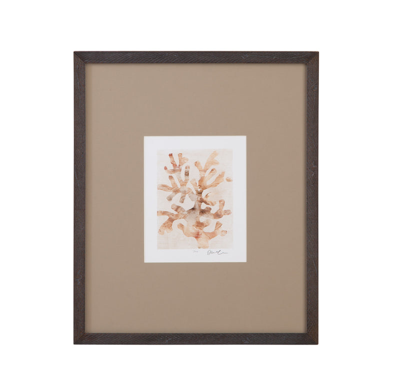 Parchment Coral I Framed Print - Brown