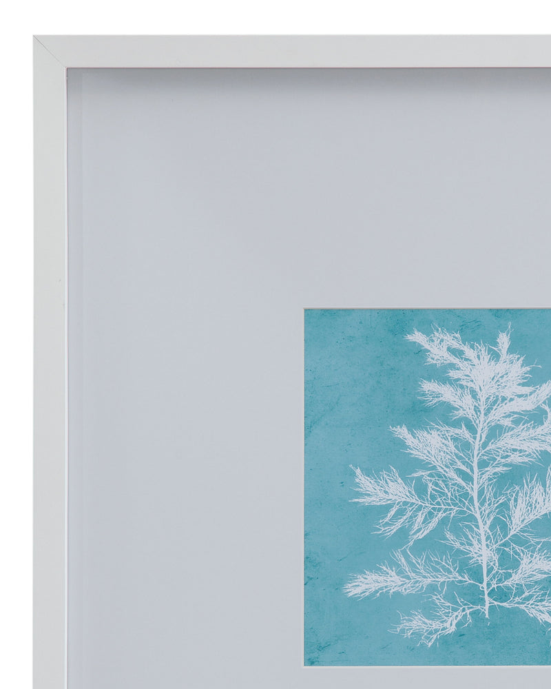 White Coral On Blue IV Framed Print - Blue / White