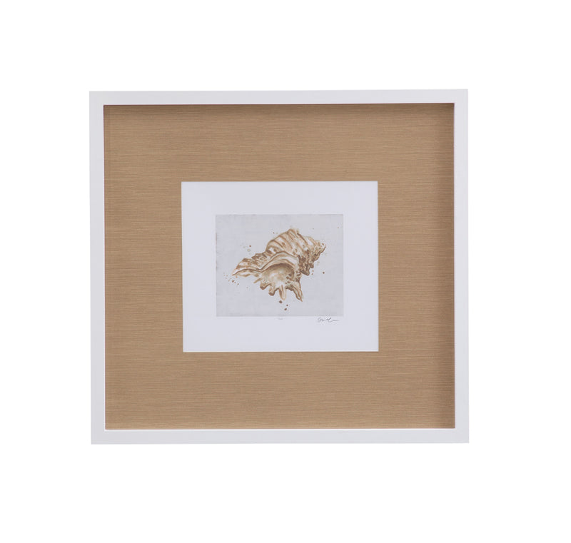 Neutral Shell Fresco III Framed Print - Light Brown / White