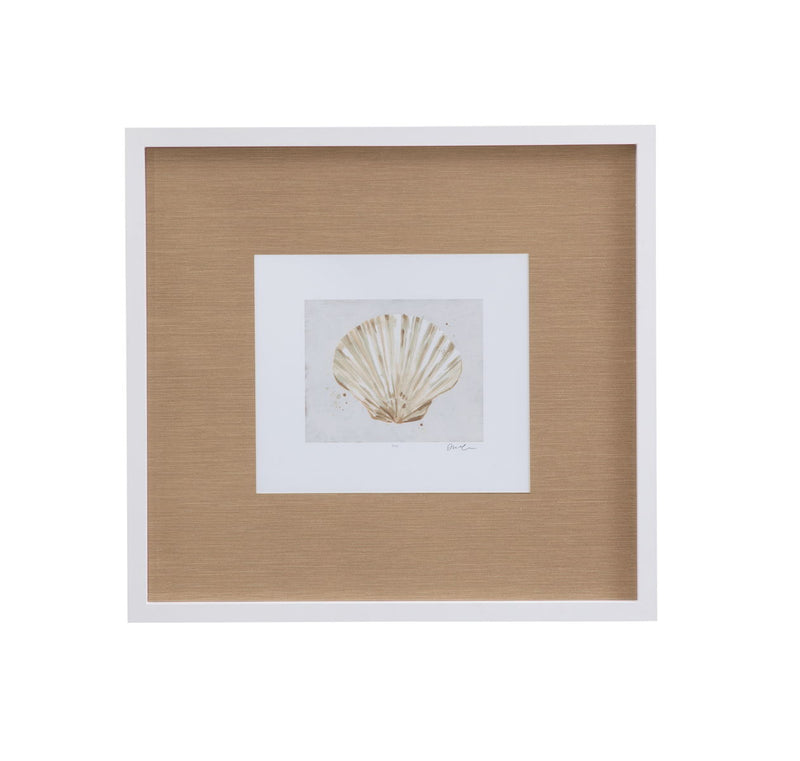 Neutral Shell Fresco IV Framed Print - Light Brown / White