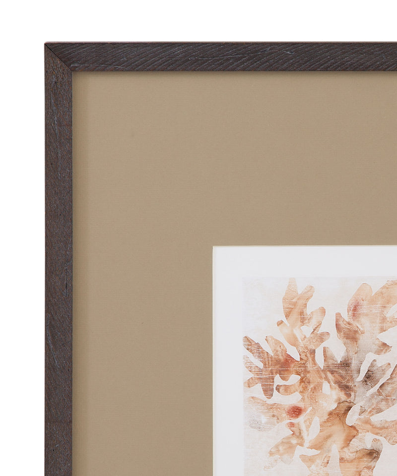Parchment Coral IV Framed Print - Brown