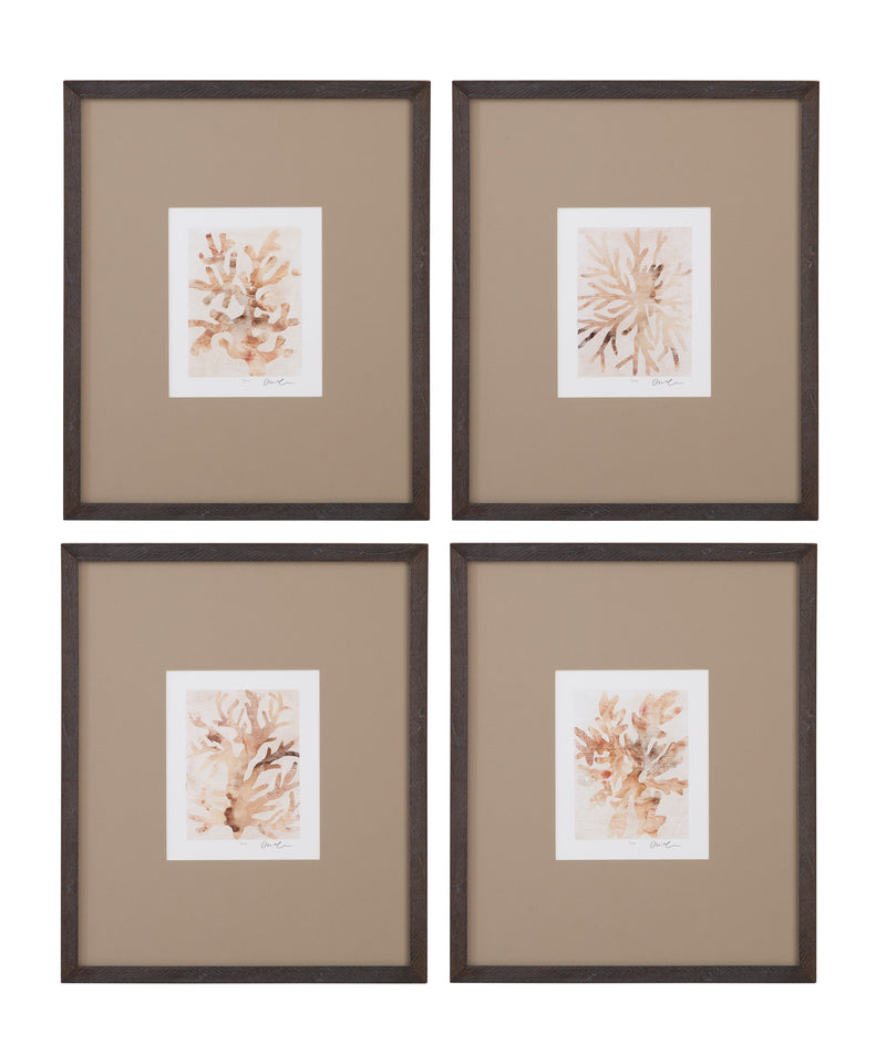 Parchment Coral Framed Print (Set of 4) - Brown