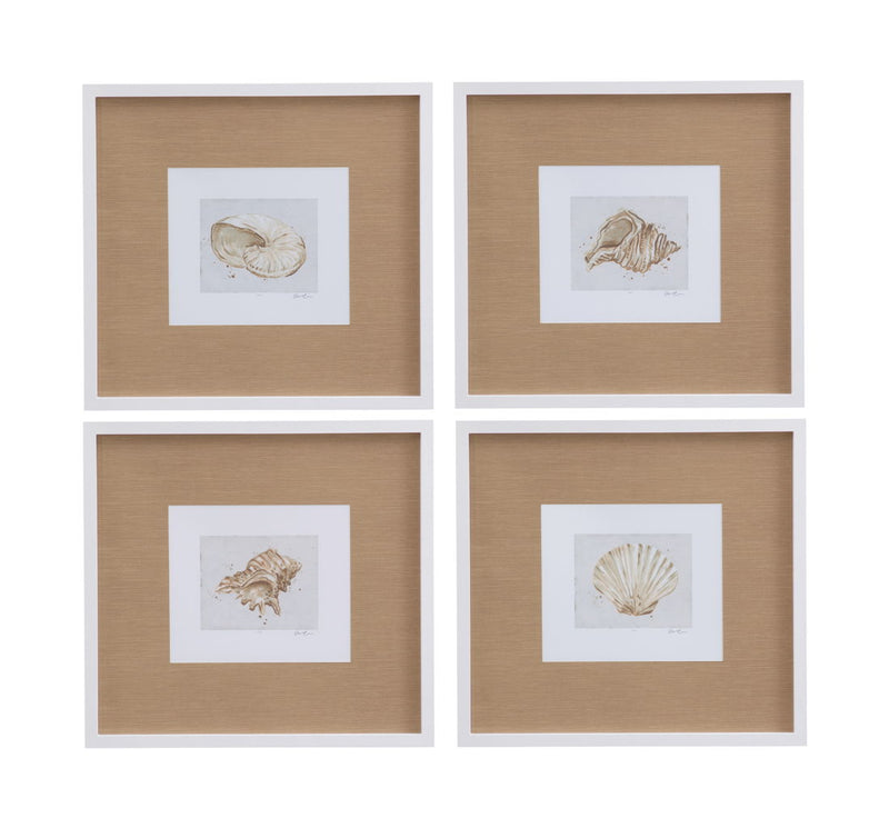 Neutral Shell Fresco III Framed Print - Light Brown / White