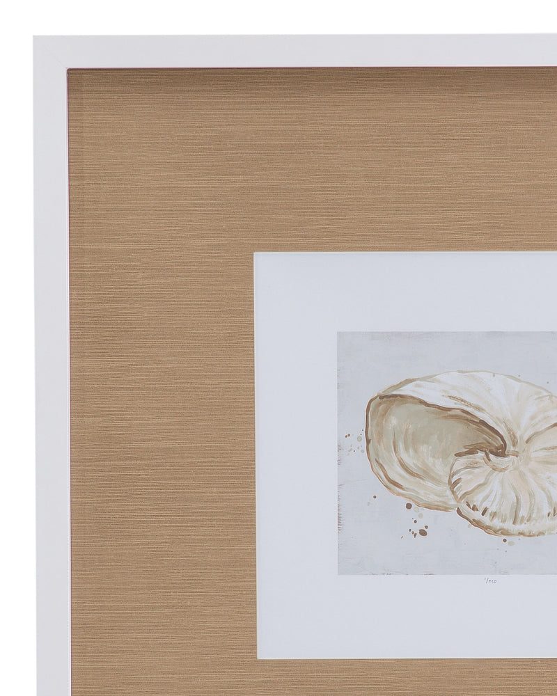 Neutral Shell Fresco I Framed Print - Light Brown / White