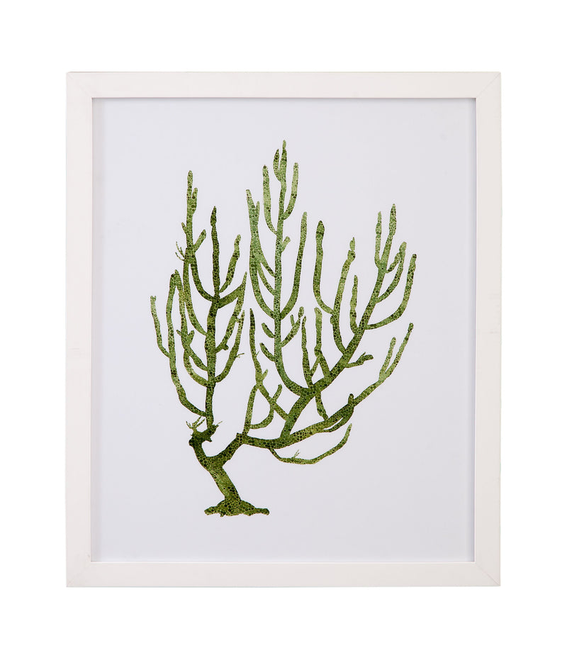 Coral Souvenirs III Framed Print - Green