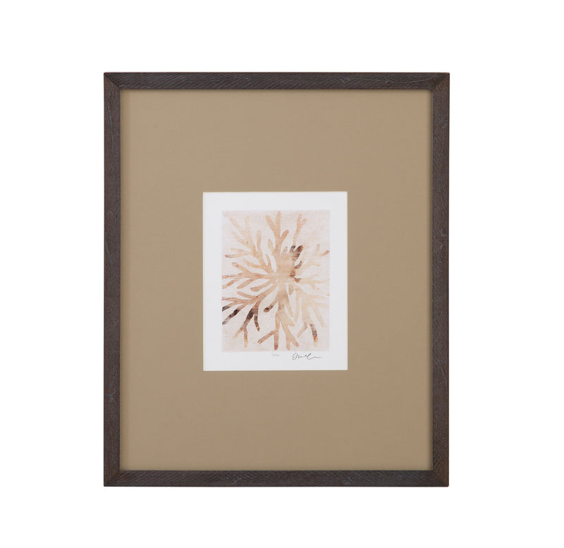 Parchment Coral II Framed Print - Brown