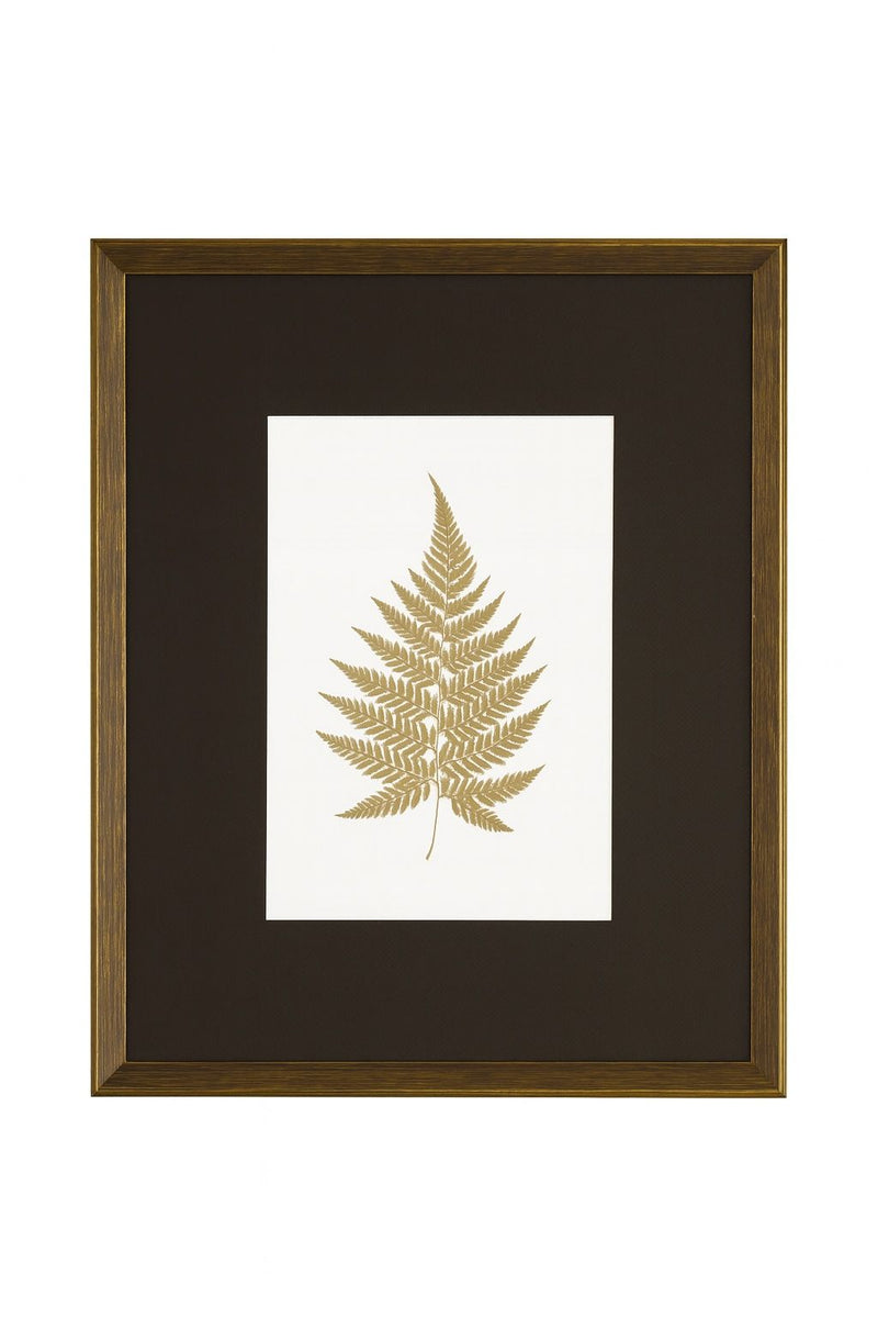 Antique Fern V Framed Print - Gold / White / Brown