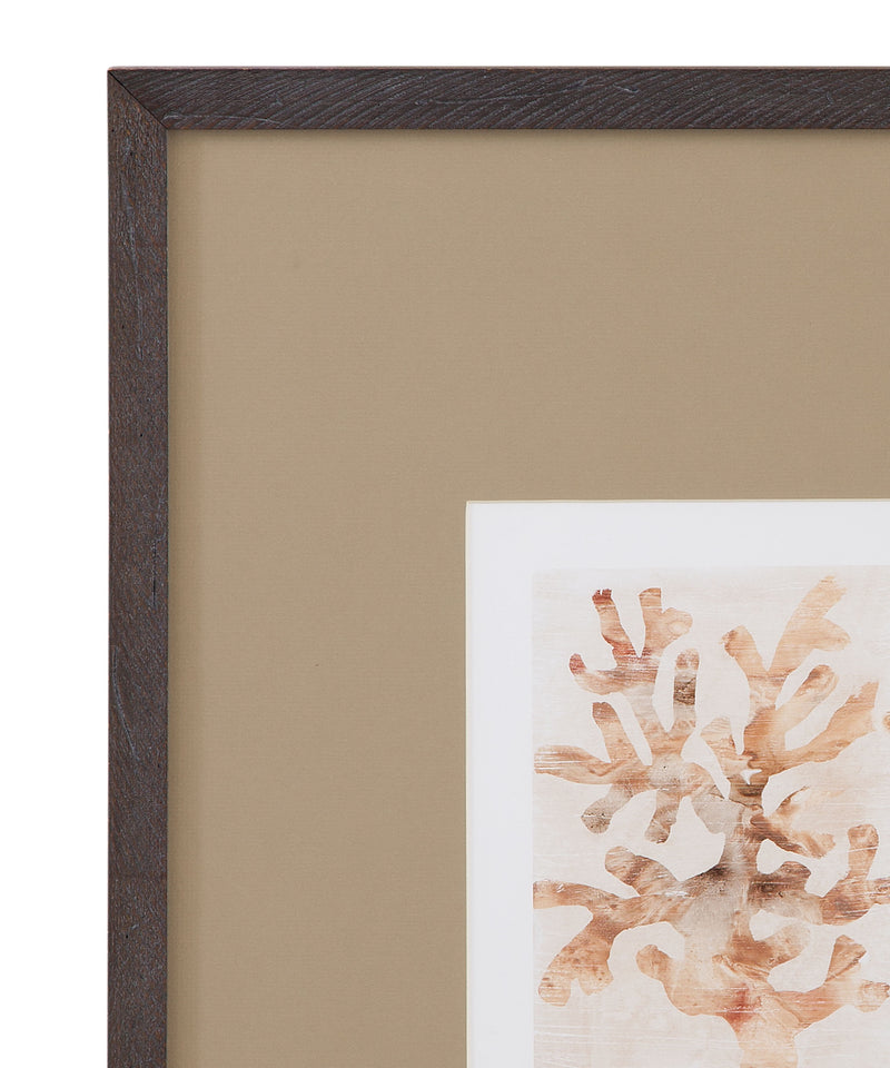 Parchment Coral I Framed Print - Brown