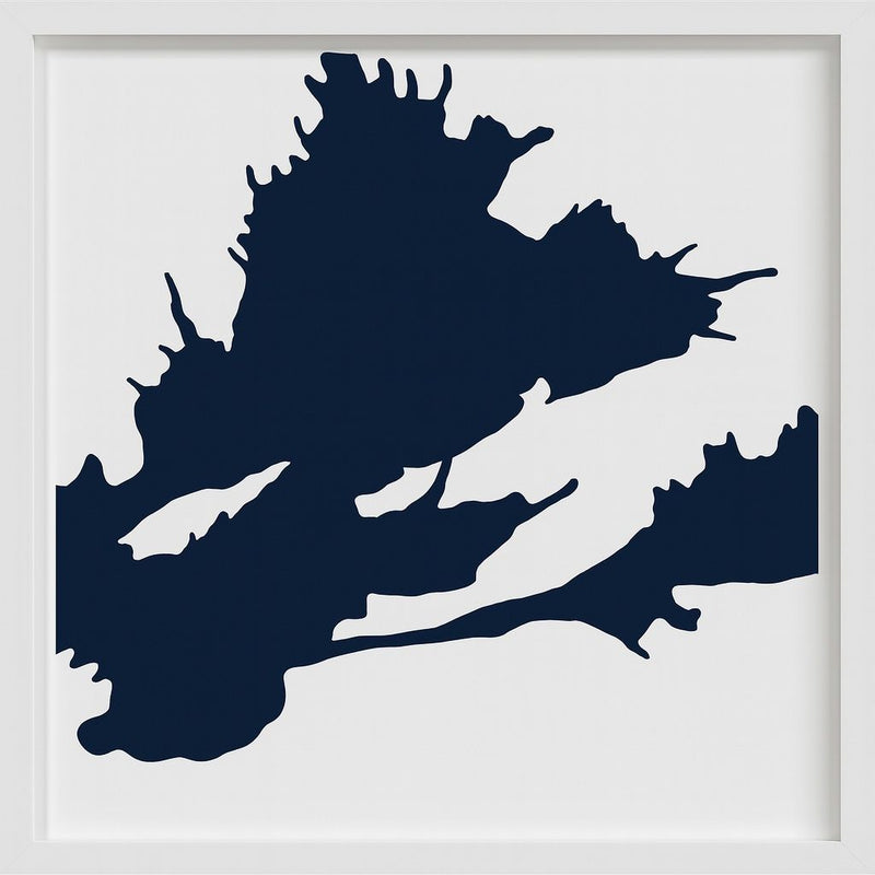 Vine Visions Barb Framed Print - Navy / White