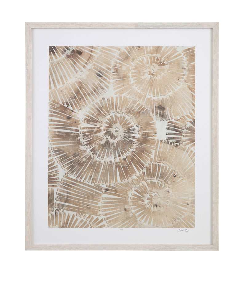 Fossil Nautilus II Framed Print - Brown