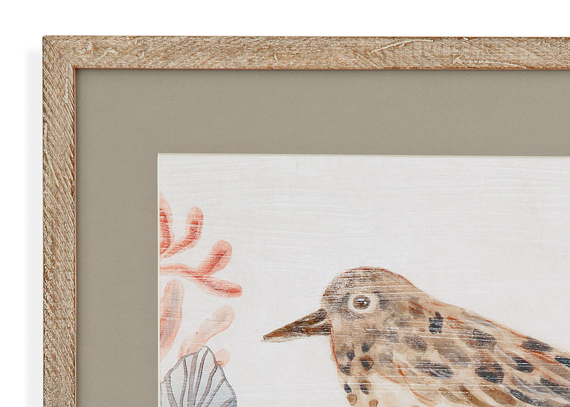 Shell Peppers Framed Print (Set of 4) - White