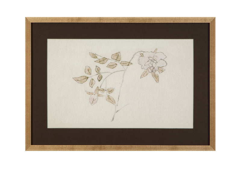 Delicate Rose II Framed Print - Cream