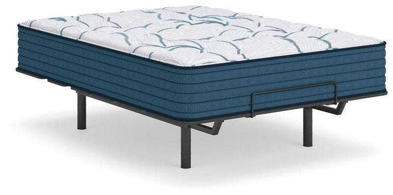 Limited Edition Plush 3.0 - Queen Mattress - White
