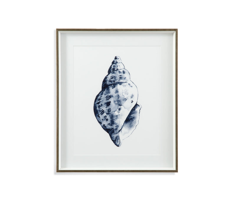 Quiet Conchin Indigo II Framed Print - Blue
