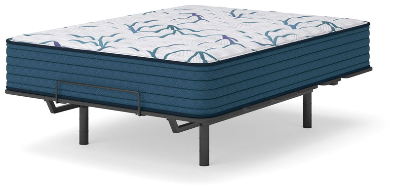 Limited Edition Firm 3.0 - Queen Mattress - White