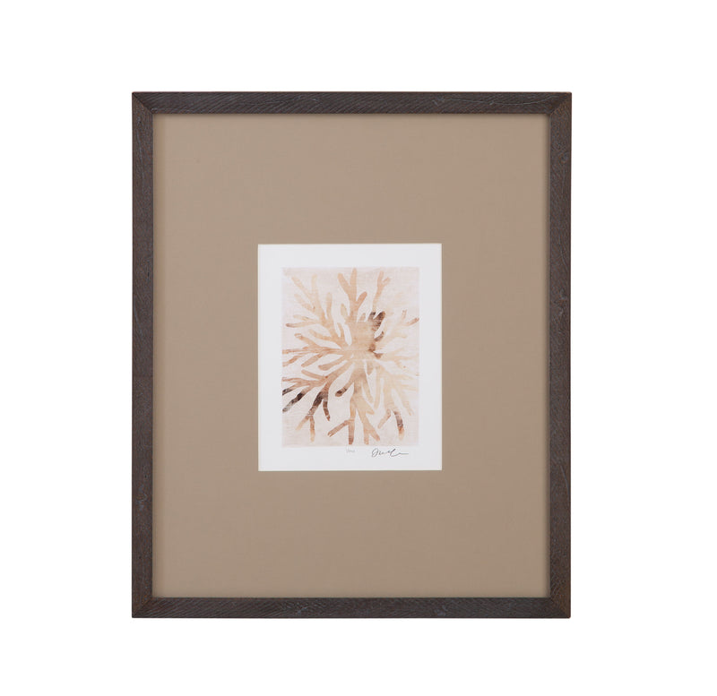 Parchment Coral II Framed Print - Brown