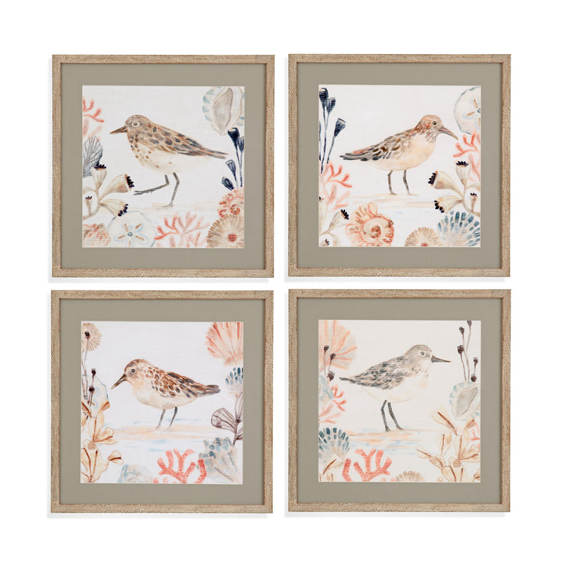 Shell Peppers II Framed Print - White