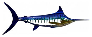 Davion - Indoor/Outdoor Wall Decor - Blue / Teal / Yellow