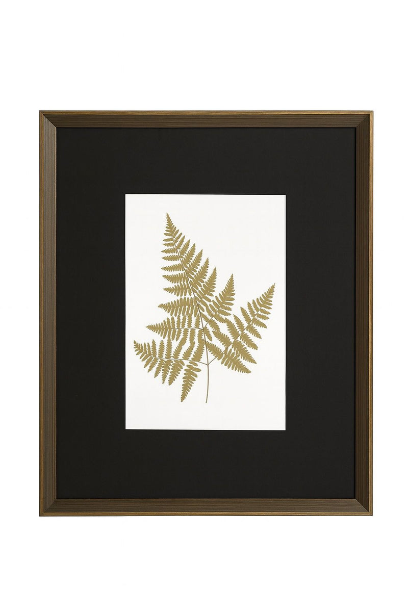 Antique Fern I Framed Print - Gold / White / Brown